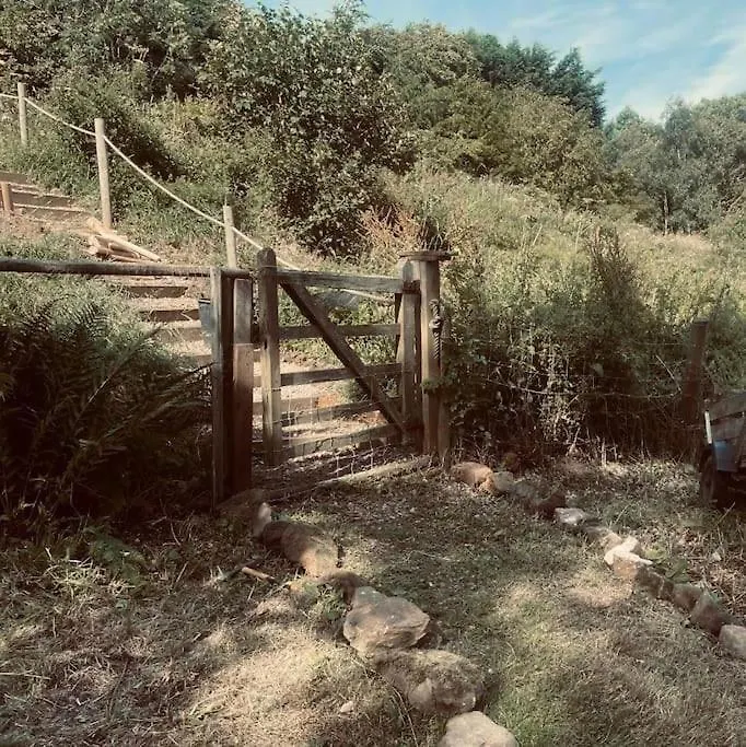 The Cabin At Shambala- Now With Sauna Available To Book! Whitby