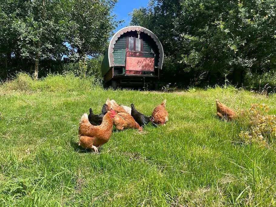 The Cabin At Shambala- Now With Sauna Available To Book! Whitby Regno Unito
